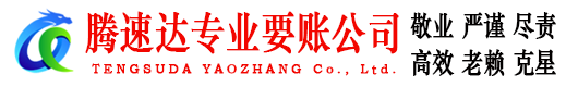 宿松追债公司